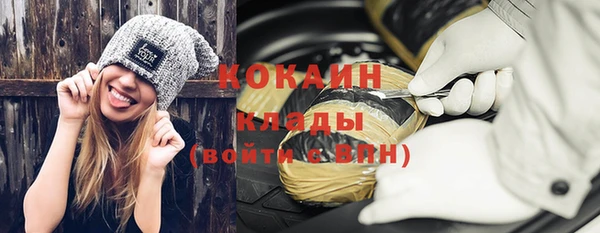 индика Михайловка
