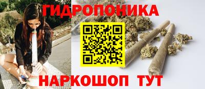 ешки Абакан