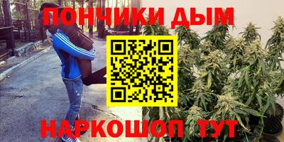 сатива Бийск