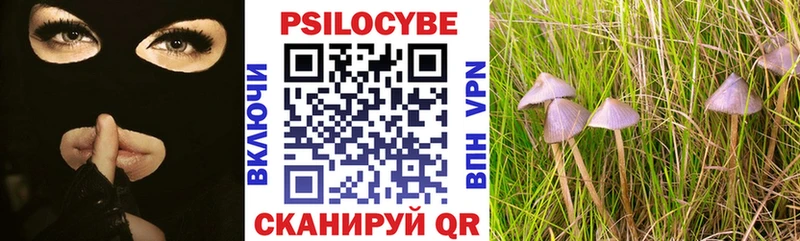 KRAKEN сайт  где купить наркоту  Вичуга  Псилоцибиновые грибы мицелий 