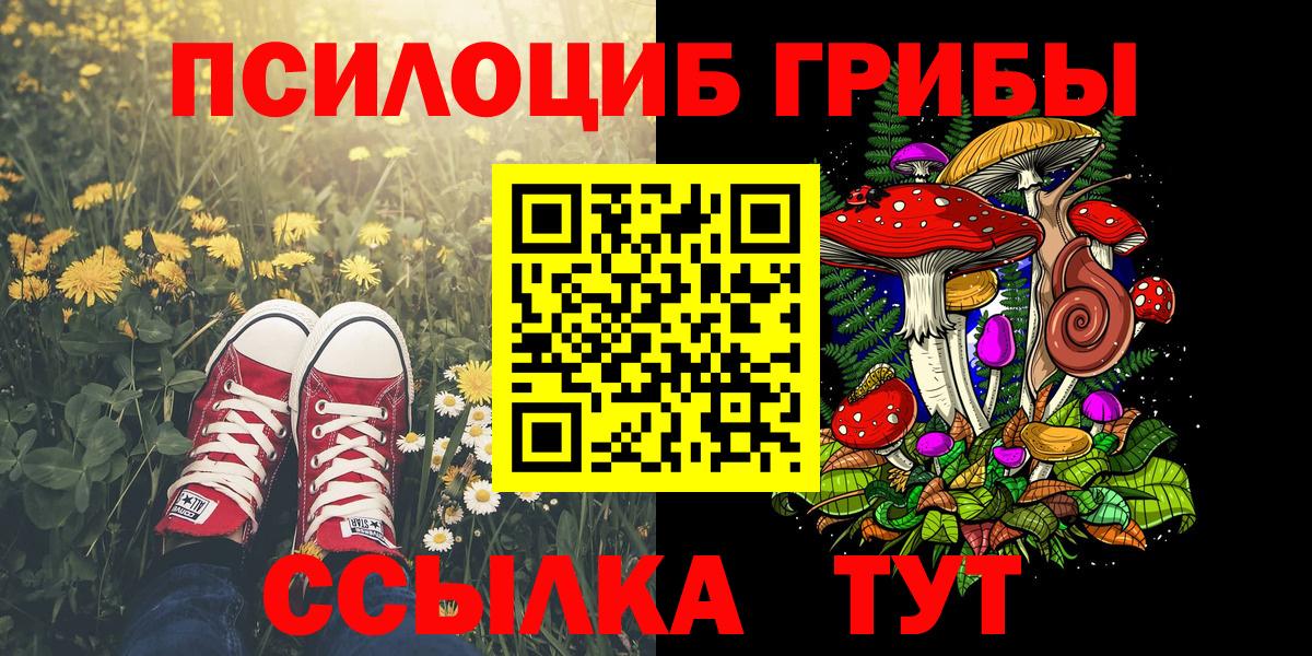 купить наркотики сайты  Вичуга  Псилоцибиновые грибы MAGIC MUSHROOMS 