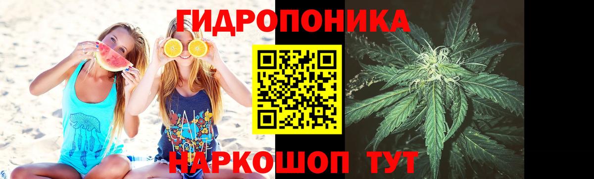 Бошки Шишки AK-47 Вичуга